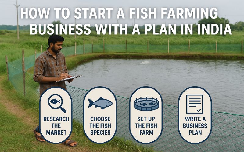 How To Start a Fish Farming Business With a Plan in India?